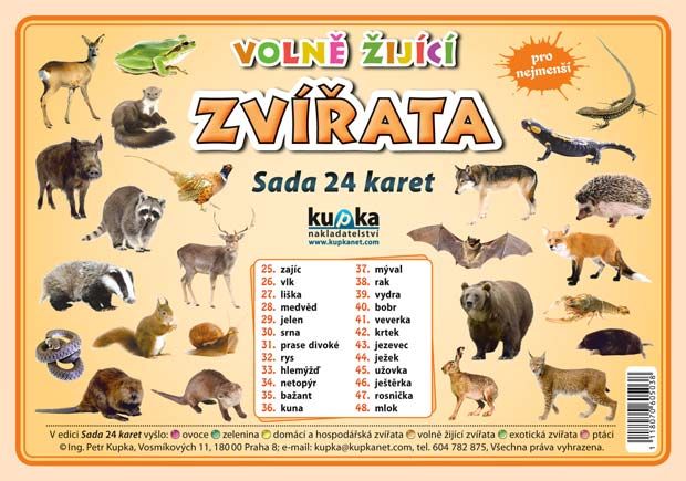 Sada 24 karet - zvířata volně žijící nakladatelství Kupka