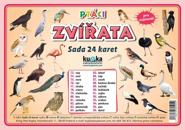 Sada 24 karet - zvířata (ptáci) nakladatelství Kupka