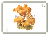 Sada 24 karet - houby nakladatelství Kupka