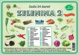Sada 24  karet  - zelenina 2 | A7 (10x7 cm), A6 (15x10 cm), A5 (21x15 cm), A4 (30x21 cm)