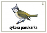 Sada 48 karet - naši ptáci nakladatelství Kupka