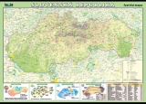Slovenská republika - fyzická mapa | XL (100x70 cm), XXL (140x100 cm)