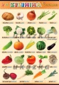 Zelenina | XL (100x70 cm), XXL (140x100 cm), A3 (42x30 cm), bez lišt, A4 (30x21 cm), bez lišt