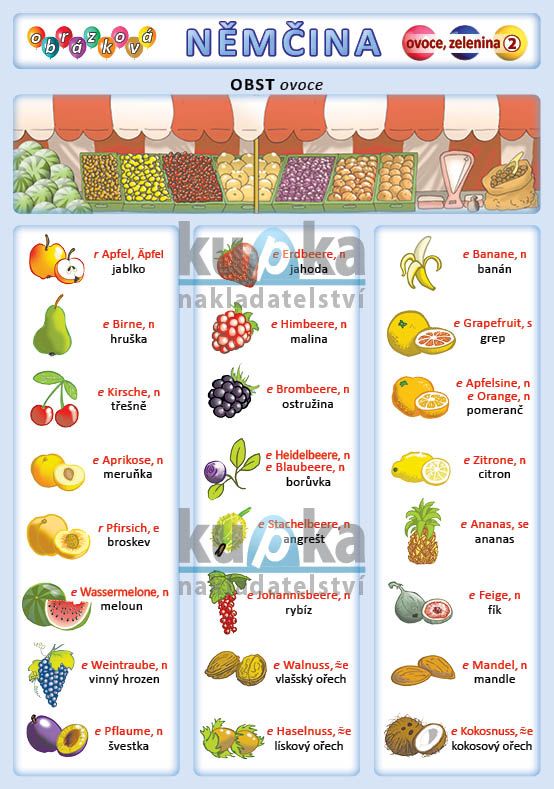Obrázková němčina 2 - ovoce, zelenina nakladatelství Kupka